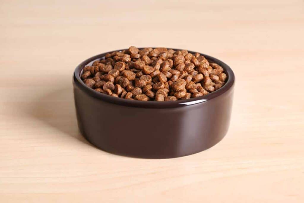 Dog kibble in a bowl, representing the pet food class action.