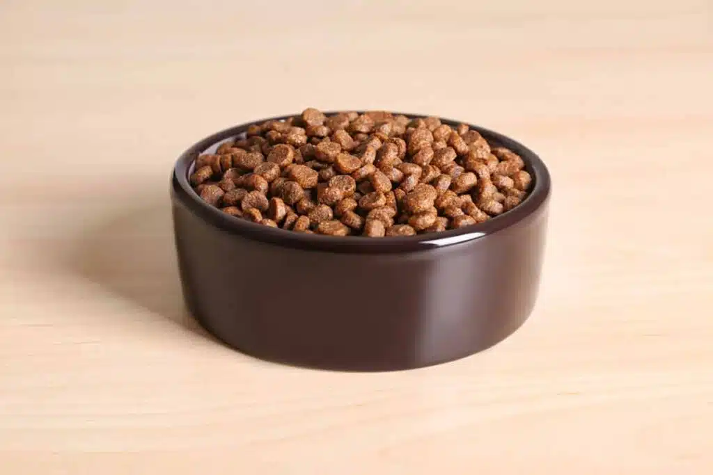 Dog kibble in a bowl, representing the pet food class action.