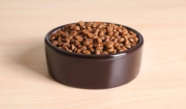 Dog kibble in a bowl, representing the pet food class action.