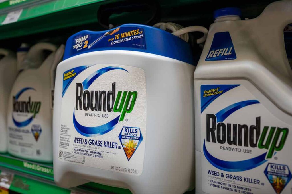 Roundup products on a supermarket shelf, representing the Monsanto class action.