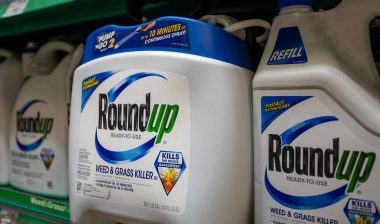 Roundup products on a supermarket shelf, representing the Monsanto class action.