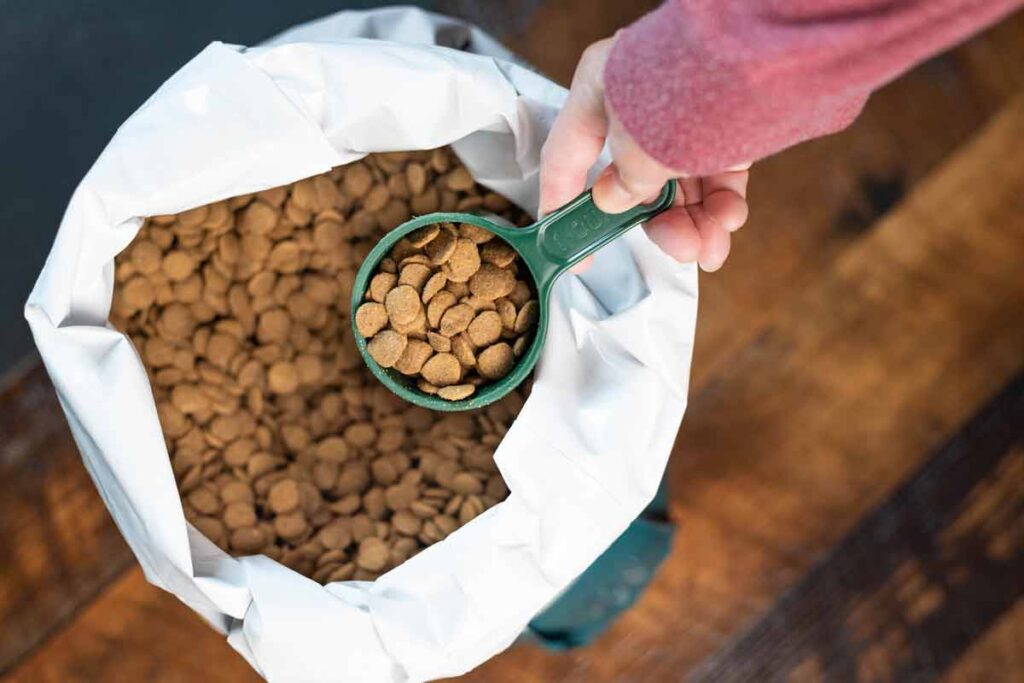 Close up of a hand scooping dog food with a scooper, representing pet food class actions and recalls.