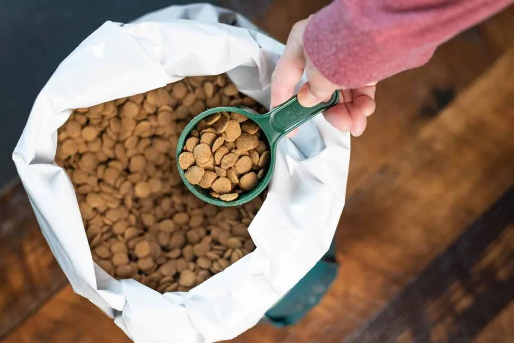 Close up of a hand scooping dog food with a scooper, representing pet food class actions and recalls.