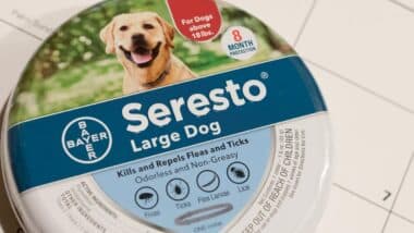 Close up of Seresto flea collar packaging, Seresto flea collar