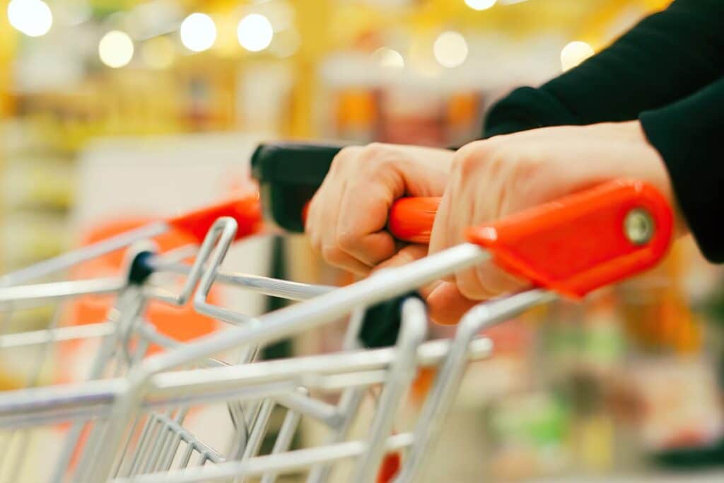 Close up of hands pushing a shopping cart, representing top recalls for the week of Dec. 30.