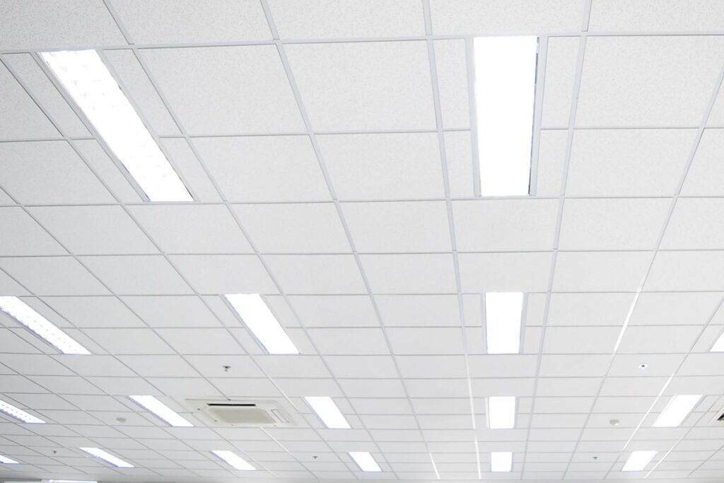Fluorescent lights on a ceiling, representing the Monsanto verdict.
