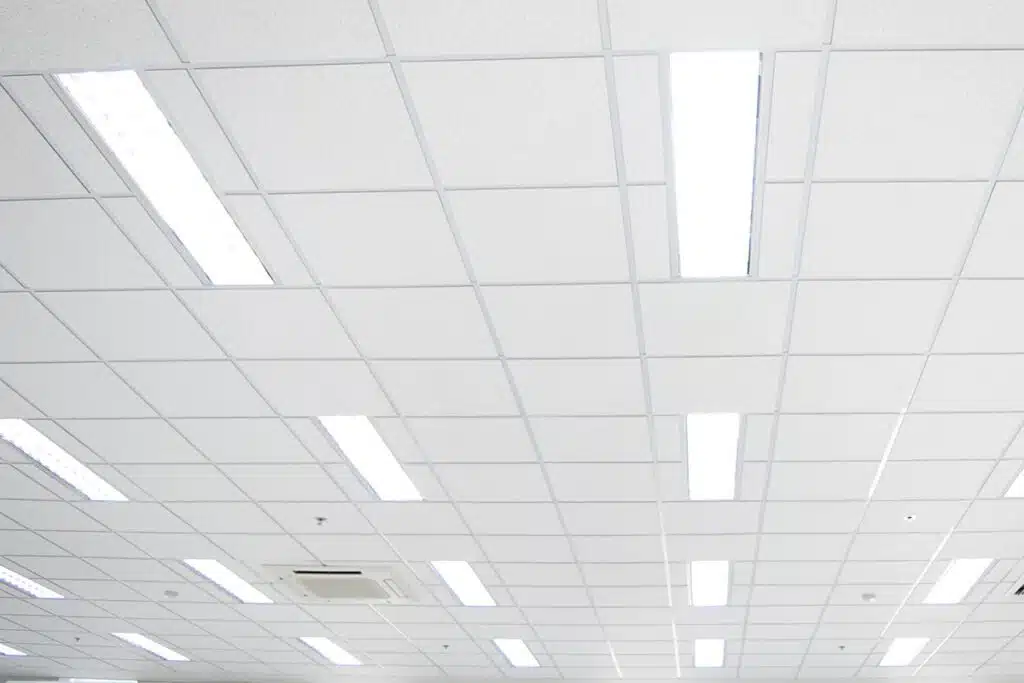 Fluorescent lights on a ceiling, representing the Monsanto verdict.