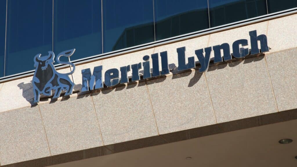 Merrill Lynch Investment Group