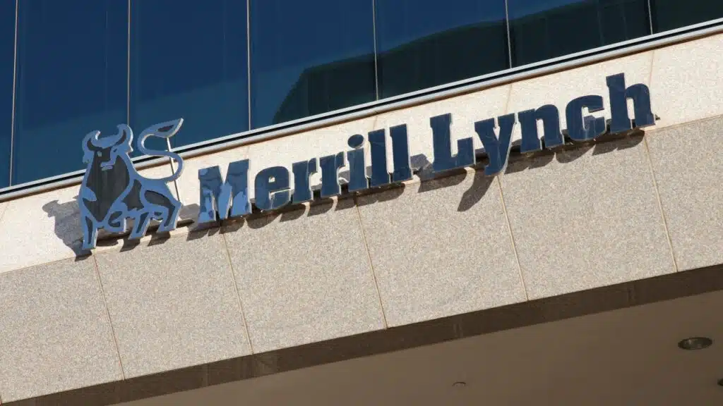 Merrill Lynch Investment Group