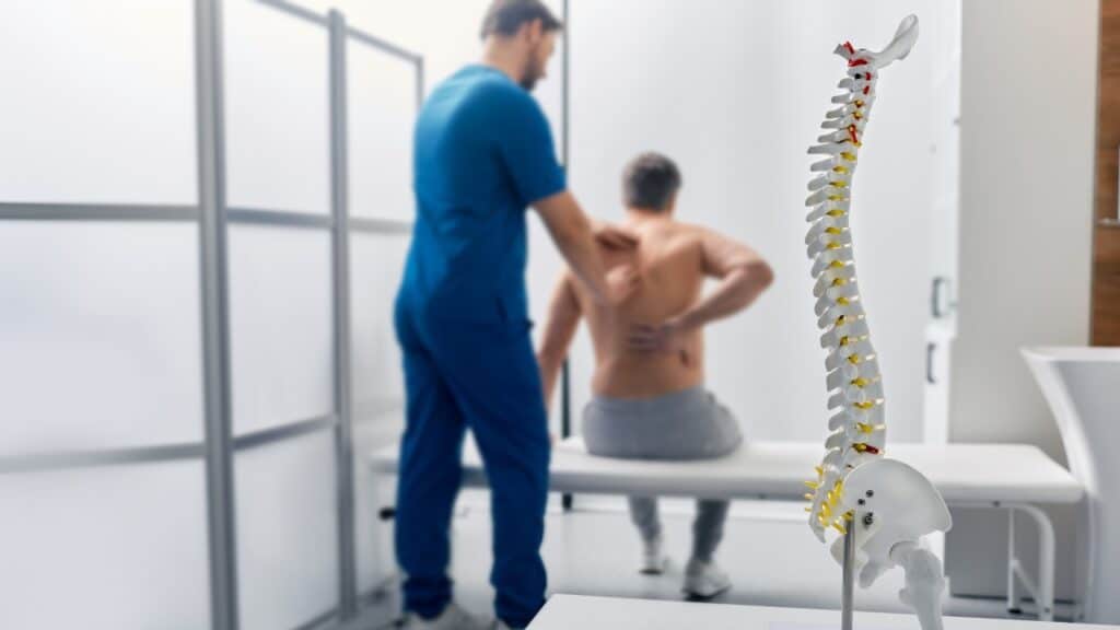 Anatomical model of spine on table in manual therapist's office. Adult man patient during spinal exam by physiotherapist.