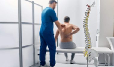 Anatomical model of spine on table in manual therapist's office. Adult man patient during spinal exam by physiotherapist.