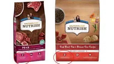 RachaelRay pet food recall