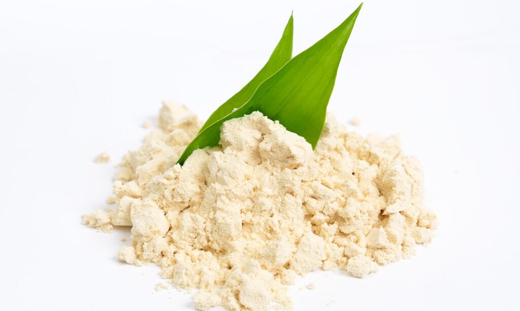 Food additive Plant protein powder isolated on white background