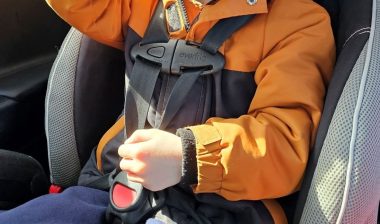 A child looking at their new toy as they sit in a car seat. See less