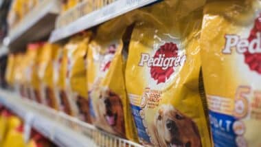 Pedigree Dog food found at the pet supplies aisle of a supermarket.