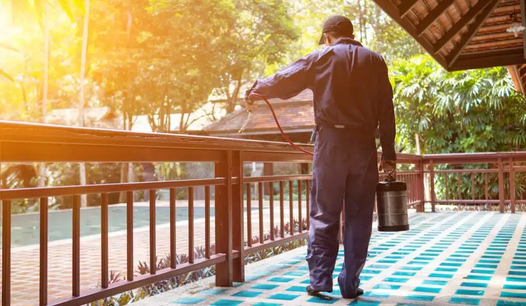 Pest exterminator employees are using pesticide sprayer at client's home.
