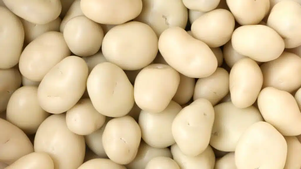 yogurt covered fruit snack