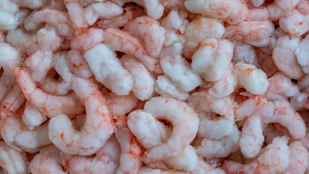 Lots of frozen shrimp for background use, close up, top view.