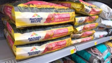 A new class action lawsuit alleges Post Holdings Inc. falsely advertises its Nature’s Recipe dog food as containing no artificial preservatives.