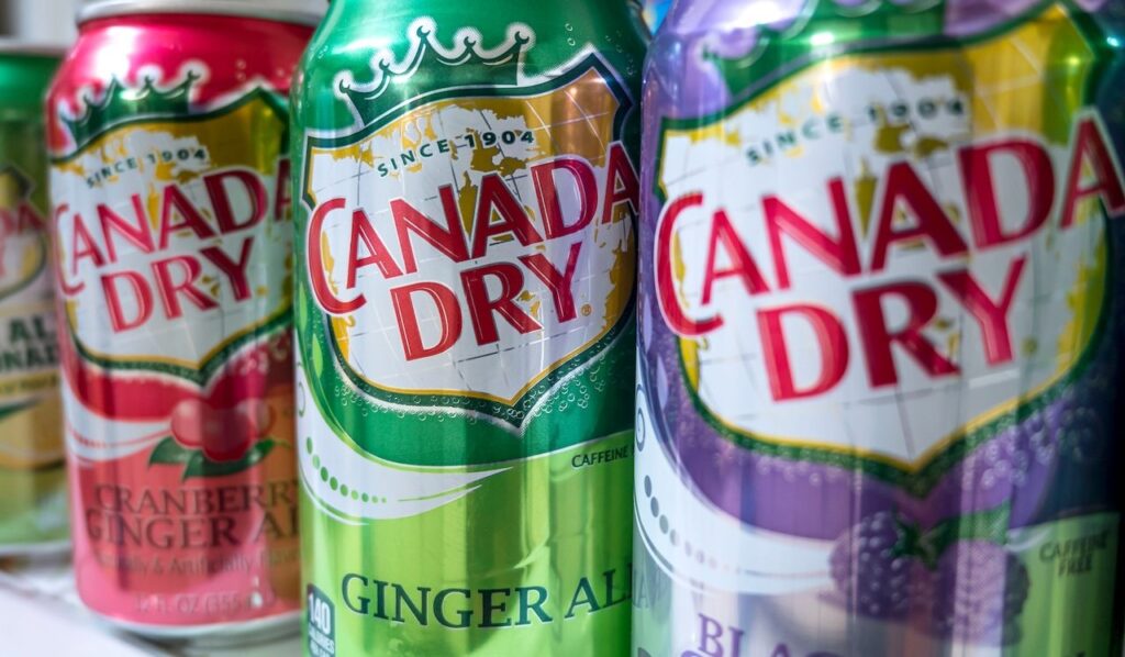 Cranberry, original and blackberry versions of Canada Dry Ginger Ale cans.