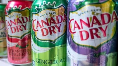 Cranberry, original and blackberry versions of Canada Dry Ginger Ale cans.