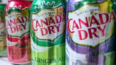 Cranberry, original and blackberry versions of Canada Dry Ginger Ale cans.