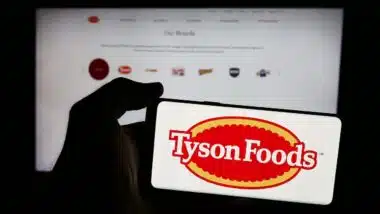 Person holding smartphone with logo of US food processing company Tyson Foods Inc. in front of website.