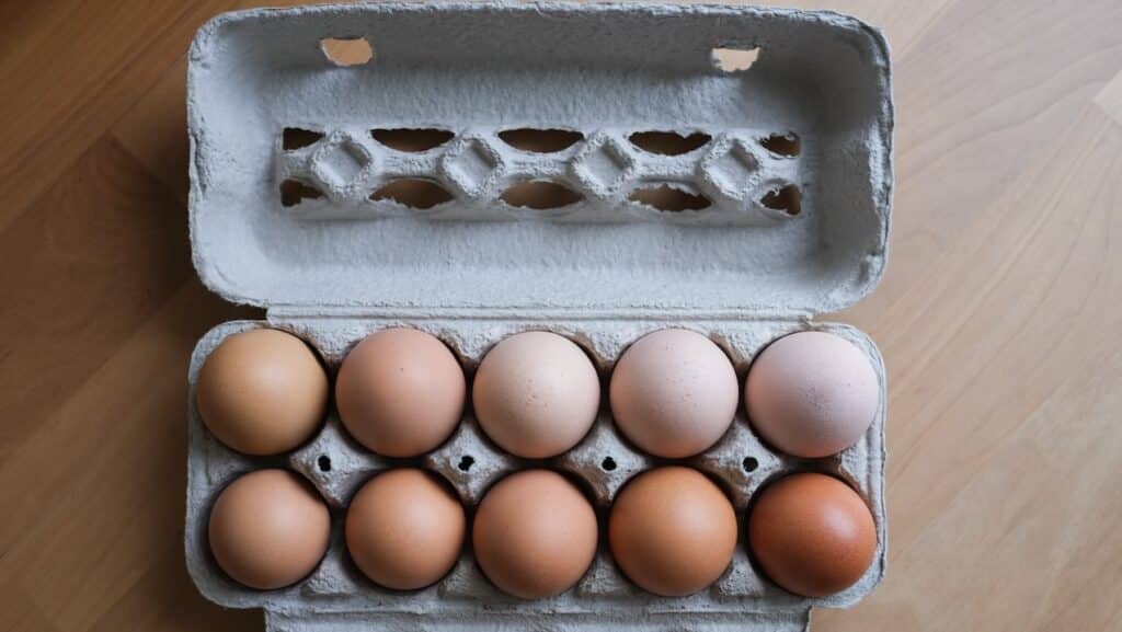 Fresh organic free range chicken eggs,