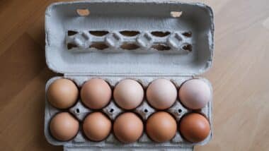 Fresh organic free range chicken eggs,