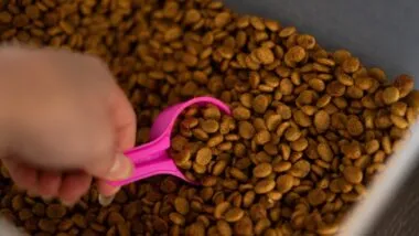 White female hand scooping up a portion of brown dog food kibble with a small bright pink measuring cup spoon from a plastic container to feed pet