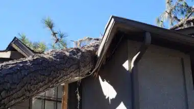 Roof damage from tree that fell