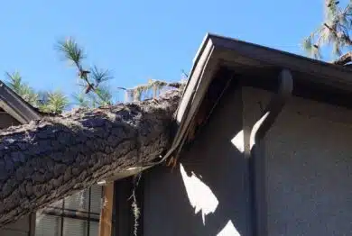 Roof damage from tree that fell