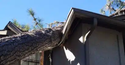 Sidebar Single Image