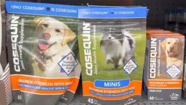 A view of several packages of Cosequin supplements, on display at a local retail store