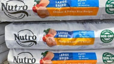 Nutro Natural dog food