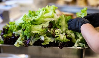 Chef with black gloves preparing fresh mixed lettuce