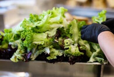 Chef with black gloves preparing fresh mixed lettuce