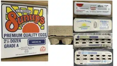 recalled eggs