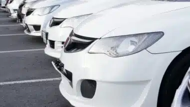 Row of white Honda cars at dealer