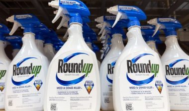 Spray bottles of Round Up weed killer, ready to use