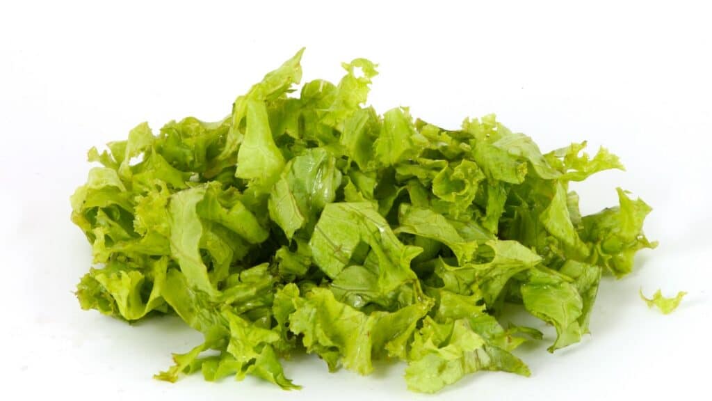 a studio photo of wet lettuce shreds