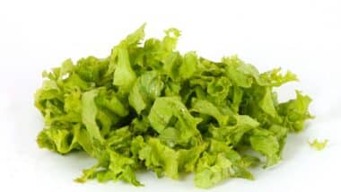 a studio photo of wet lettuce shreds