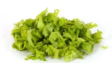 a studio photo of wet lettuce shreds