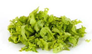 a studio photo of wet lettuce shreds