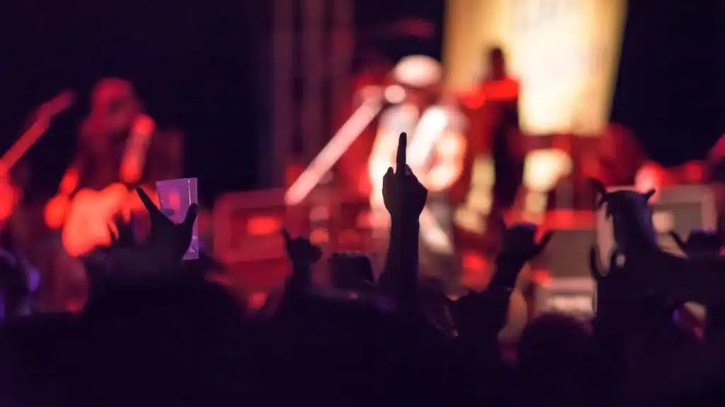 silhouettes of a crowd of cheering fans during a live concert