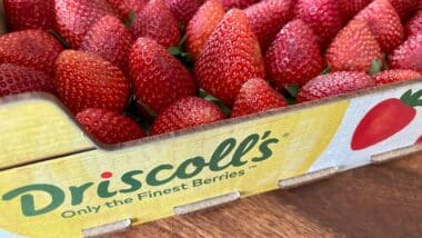 Selective focus on a tray of fresh Driscoll's strawberries on a wooden table
