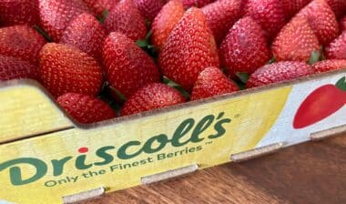Selective focus on a tray of fresh Driscoll's strawberries on a wooden table
