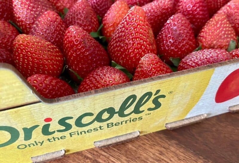 Selective focus on a tray of fresh Driscoll's strawberries on a wooden table