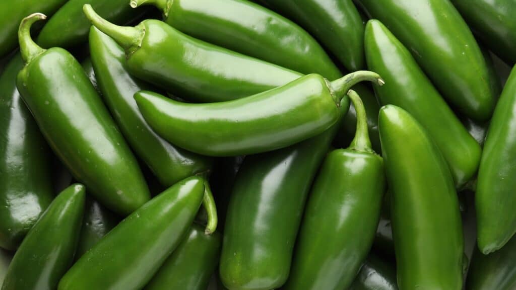 Many green jalapeno peppers as background, closeup