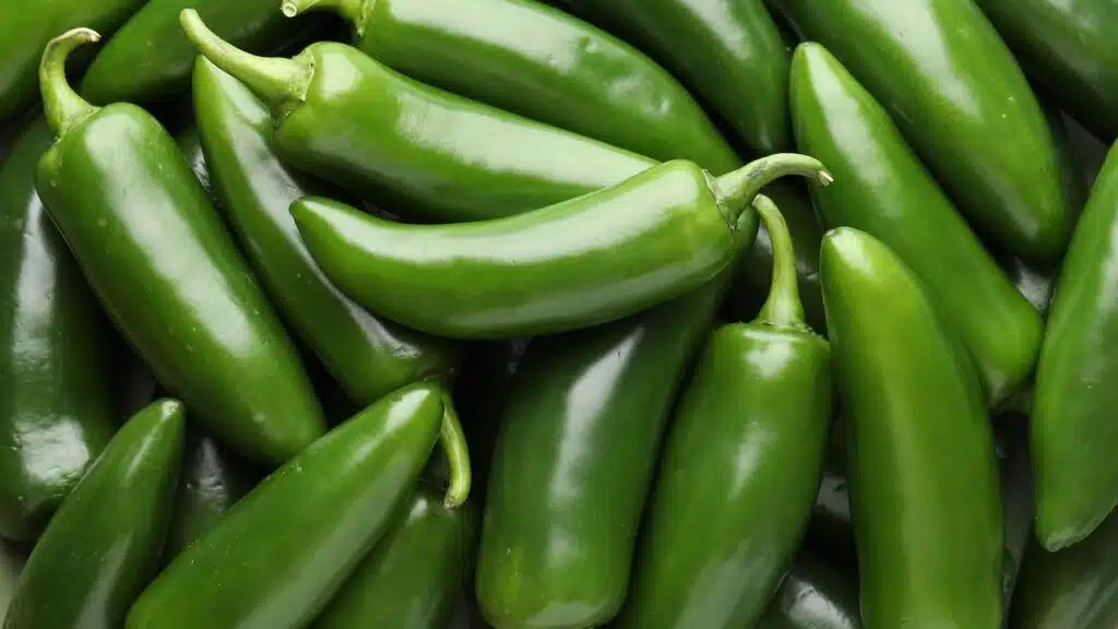 Many green jalapeno peppers as background, closeup